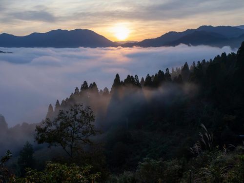 四方が山に囲まれた盆地であるため、昼と夜の気温差が大きいため美味しいお米（特Ａ）が獲れます。