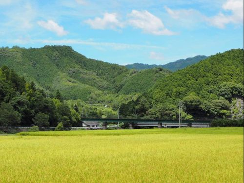 こんな地域での暮らし方と働き方を考えてみましょう。様々な田舎暮らしがあります。