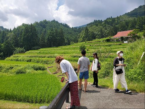 棚田の絶景集落