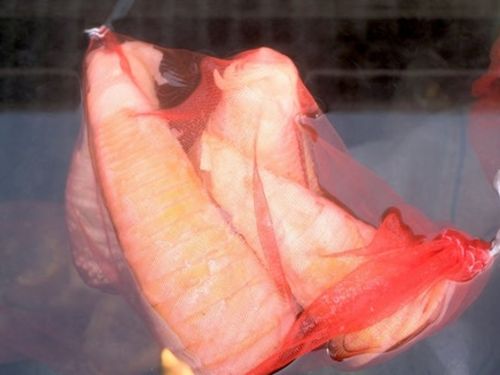 荒湯の湯壺　卵や山菜なども茹でられます