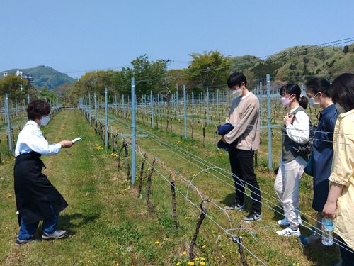 秋保ワイナリーへのまちあるきツアーなど、秋保温泉へご宿泊・日帰りでいらしゃる方へご案内