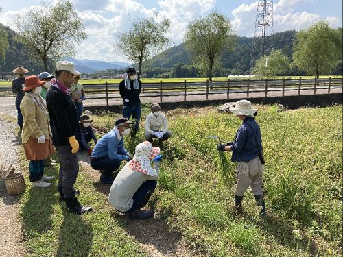 作業をしながら農あるくらしの様々な知識を得られます。