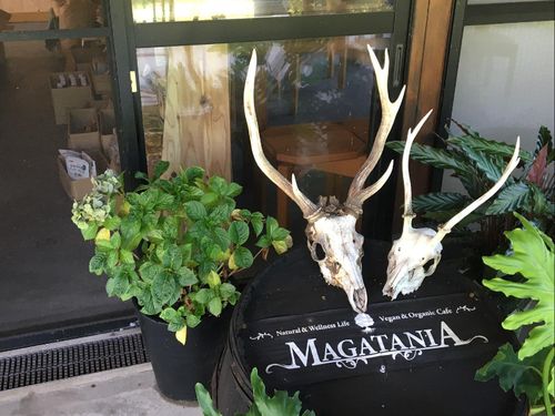 ヴィーガン＆オーガニックな森カフェのMAGATANIA