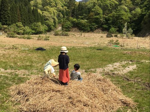 自然に囲まれた暮らしとは何か、その答えの一助になると嬉しいです！