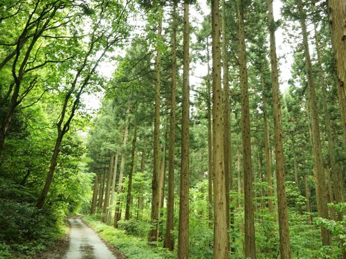 里山ぐらしを堪能できる「能美市」