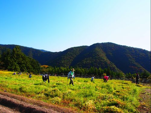 急傾斜地農法で育った新鮮なお野菜が沢山食べれます♪