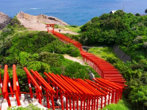 元乃隅神社：この色彩のコントラスト！中からの眺めも最高です。