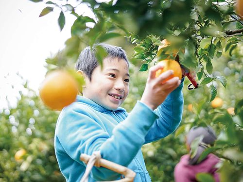 特産品は、みかんの他、長崎和牛やエビ、カキ、かんころ餅なども（写真：繁延あづさ）