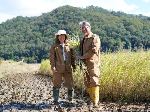 自然環境に優しく先進的な技術を活用した農業を行う平峰さんご夫婦