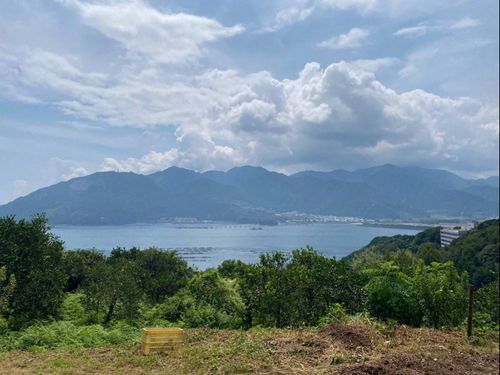 園地から見える尾鷲湾
