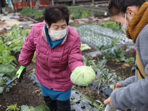 地域の人と一緒に家庭菜園で収穫体験