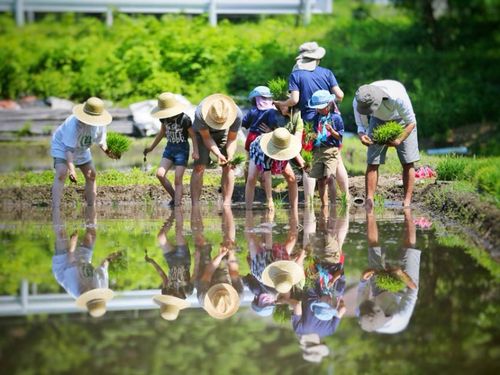 釜石市橋野町での暮らしの風景（山田さんの活動の一環）