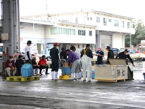 漁港って怖くないのかな？そんな素朴な質問もお待ちしています