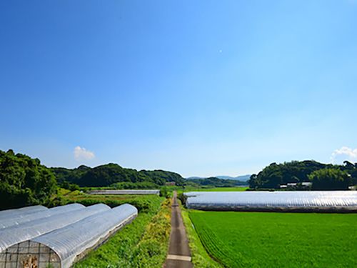 辻さんのハウスがあり協力隊の職場にもなる星鹿地区。車で5分行くと海水浴場や港も