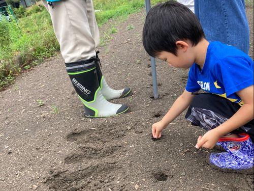 前回(2022/7/3)は「大豆の種まき」をしました🌱
