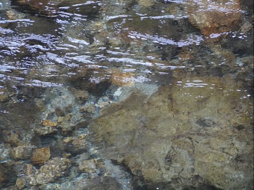 吉野川の源流に位置する川上村は、水がとっても綺麗。実際に見て欲しいです！