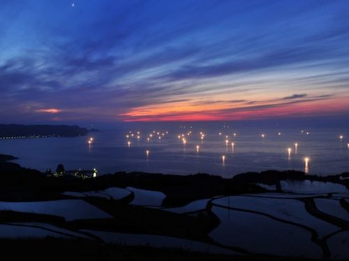 漁火が輝く油谷後畑地区の棚田風景