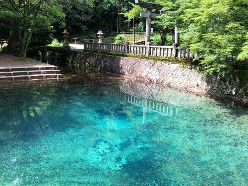 日本名水百選　別府弁天池