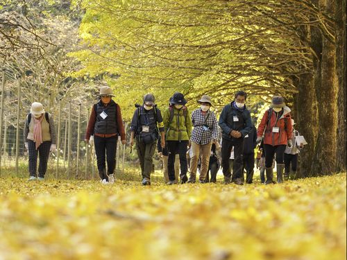 クアオルトウォーキング（企業向けセミナーでの紹介一例）