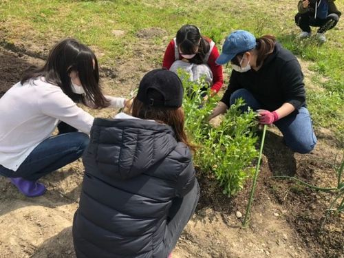 昨年の活動の様子。みんなで開墾＆野菜を植えました！