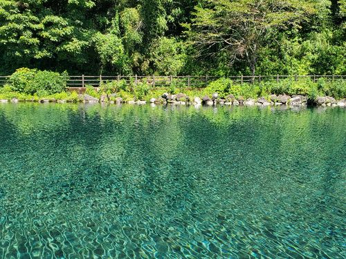 1日に9万トン以上も湧く！疎水百選竹中池