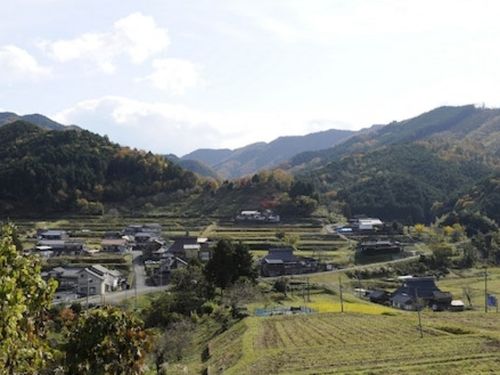 のどかな周辺の風景