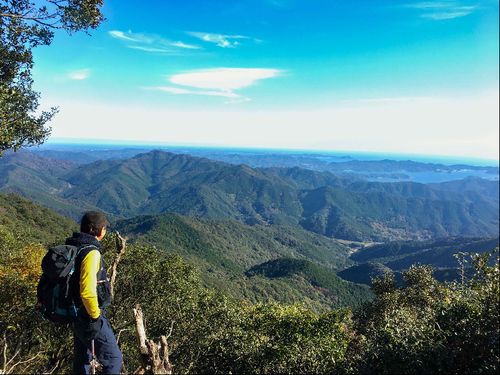 度会町は、面積の85%を山林が占めています