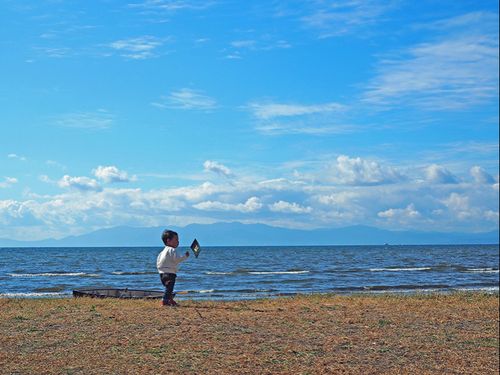 湖の森市会場から見えるびわ湖
