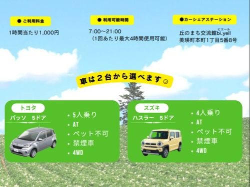 車種について