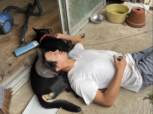 ひょんなことで同居することになった愛犬“くまごろう”との「のんびりタイム」