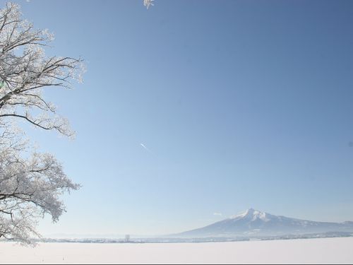 美しい一面の銀世界が超身近に…！カメラをお忘れなく…！