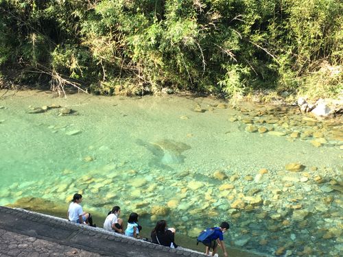 澄んだ清流が日常にある暮らし