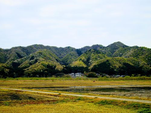 新潟県村上の森、広葉樹林も多く、新潟最大の林業地だ