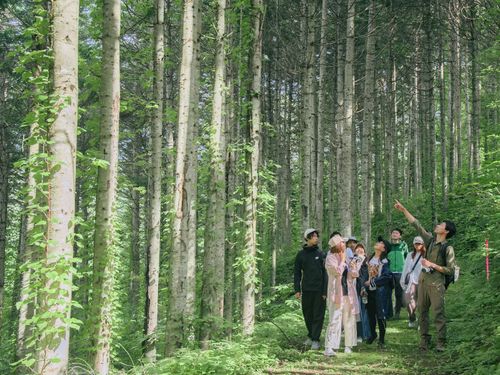 住民の多様な暮らしが光る「しもかわの森」の魅力を一緒に引き出しましょう！