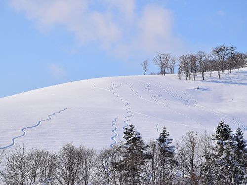 「雪板」が町でひそかに流行。遊びが重要な資源になることも。