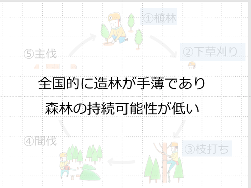 造林｜①植林 ②下草刈り ➂枝打ち