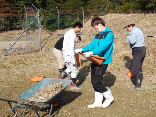 田んぼで「石ころ拾い」のお助けワーク