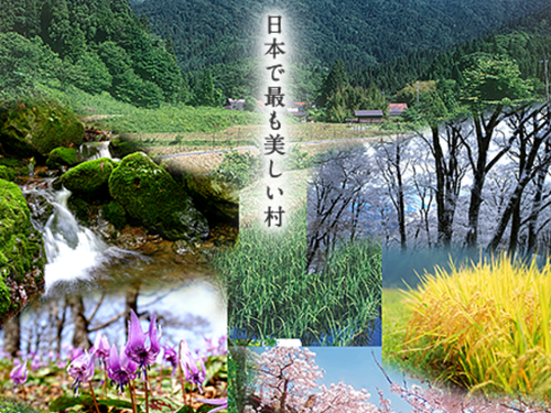 四季折々の景色を生み出す土台をつくり育てていきます。