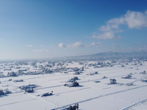 雪に染まった胆沢の散居風景　雪の量は地域によって違います。