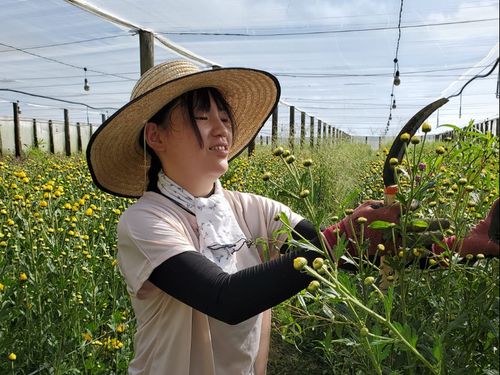 全国から"花"を愛する人たちが集まっています！