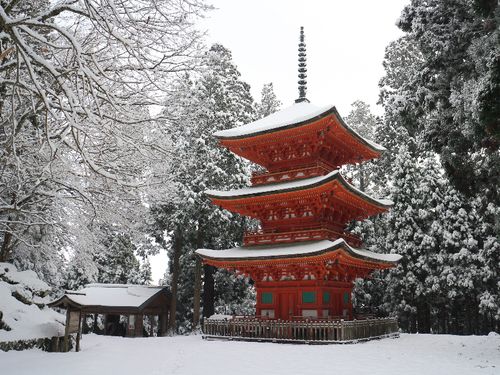 養父市の美しい冬景色♪