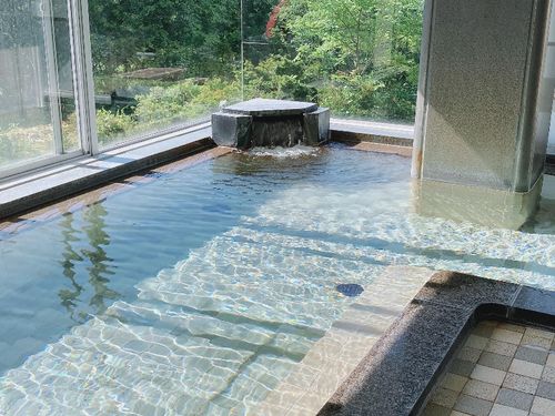 となりの温泉。とろとろの泉質です。