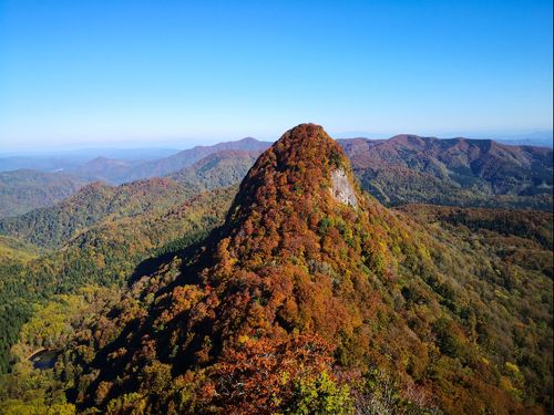 秋田との県境をまたぐ甑山の麓にはブナの二次林も広がっています