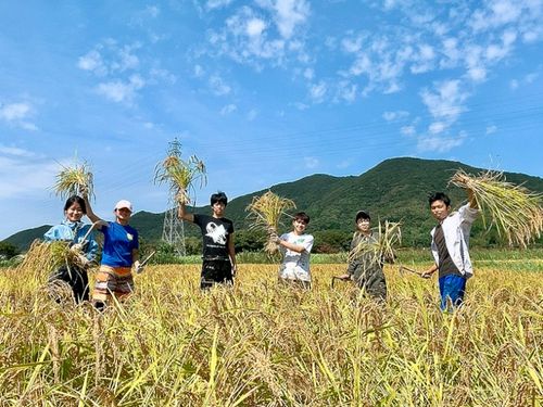 田んぼのオーナー制度、みんなで自分の米を作る
