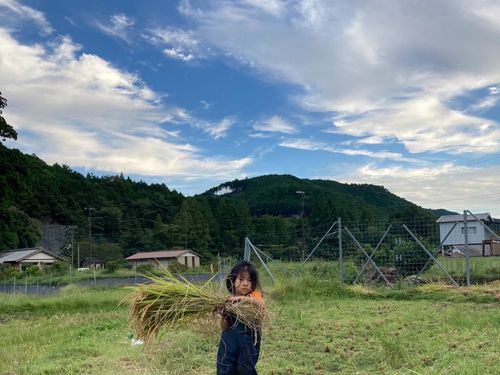 田んぼの作業も子どもにとっては楽しい行事！