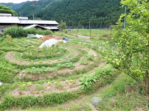 農薬や肥料を使わずお米・麦・穀物・野菜など年間約100種類ほど育てています。
