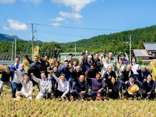 社員総出の麒麟山自社田の稲刈り
