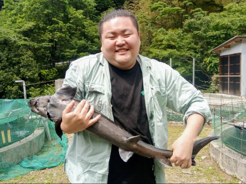 水量豊富な清流を活かしてヤマメやチョウザメなど川魚の養殖も
