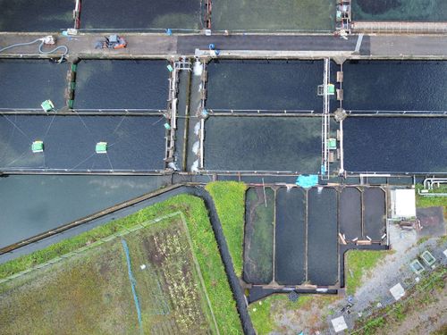 綺麗な水源が隣接し、静かな山間部に位置する桃畑地区で養殖を行なっています。