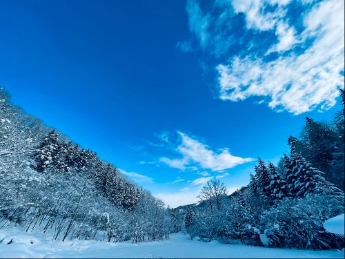 冬の八雲の山